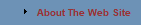 About The Web Site