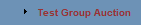 Test Group Auction